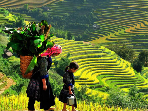 VIAJE DE NOVIOS EN VIETNAM DE 15 DÍAS